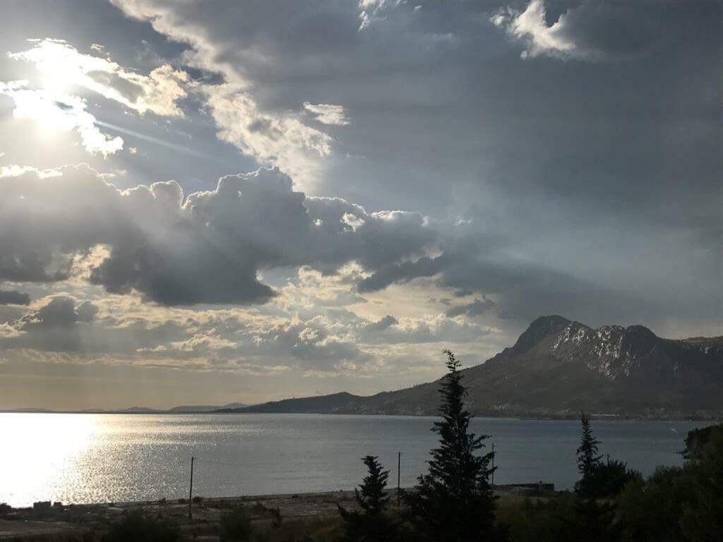 Apartment Bilo Omis Exterior photo